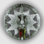 1 Pułk Strzelców Konnych