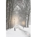 -*winter’s clothing*-
