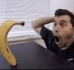 banana enthusiast