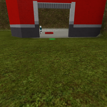 Capture the flag new game 