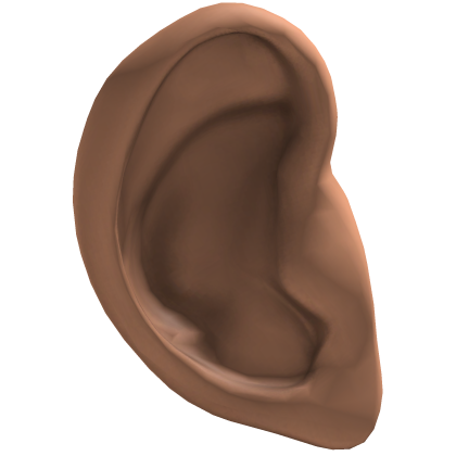 Ears