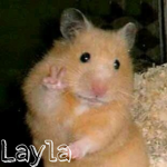 LaylaGiveaway
