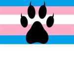 Trans In Fur