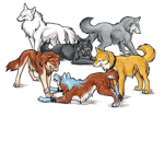 {:~Wolf pack~:}