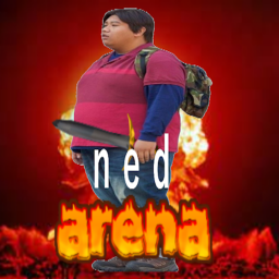 ned arena icon