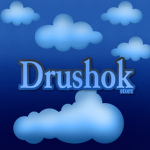 Drushok Group