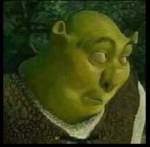 THE COOL SHREK KIDDOS
