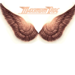 Maximum Ride Oficcial Fan Group