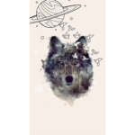 Strong Wolfs