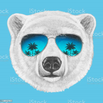 channel the coolest polar bear