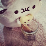 * - pusheen fanclub + *