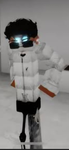 Avatar-ID's
