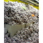 The ruthless army of rats