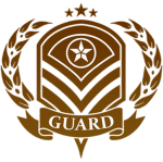 AFA | NATIONAL GUARD
