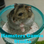 Hamsters Game Studios
