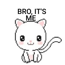 Cats Obby