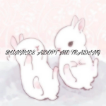 bunnies adm