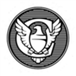 The Phoenix Corporation