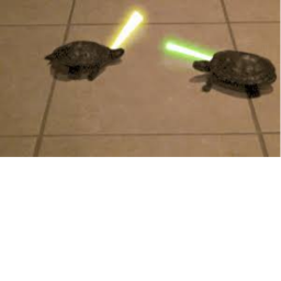 Turtle fire A! training