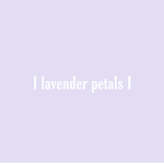 I Lavender petals I