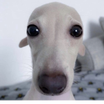 emihu
