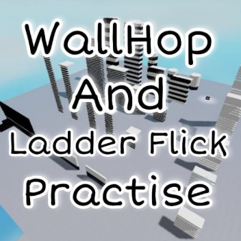Wall Hop and Ladder Flick Practise!
