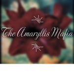 The Amaryllis Mafia