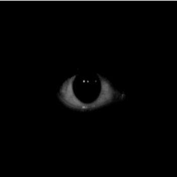Nyctophobia.