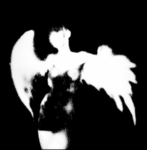 feather forever