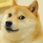 if you love dogs this group is made for you