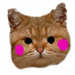 The Blushing Kittens