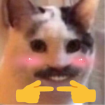 Anak Kucing