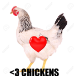 WE <3 CHICKEN
