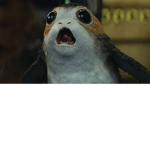 The Porg Squad