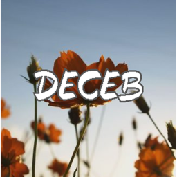 deceb homestore