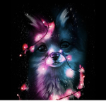 Foxy Habitats