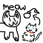 Non-Euclidean Cats