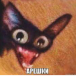 А РЕ ШК И