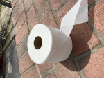 Ava’s toilet paper sqaud