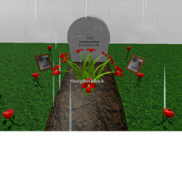 Young Bock Bock's acc Memorial