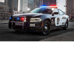 Grayson County Role-Play