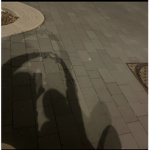 _.martinukii_