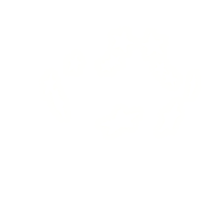 (EMISSIVE) white silver king of the knight add on Roblox item