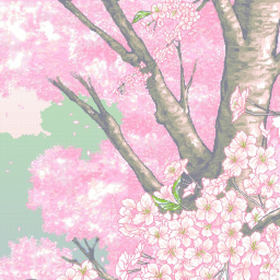 .+ Blossoms RP .+