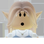 Roblox clothes T-shirt and pants