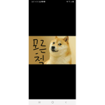 아무나 안들임