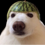 Random Group for players