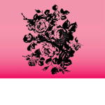 pink black roses