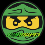 Ro-ninja