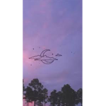 Depressing sunsets
